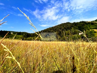 Działka budowlana Poręba sprzedam