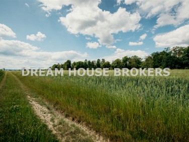 Działka rolna Krasne