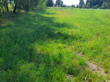 Działka budowlana Kolonia Gościeńczyce