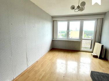 Mieszkanie Włocławek