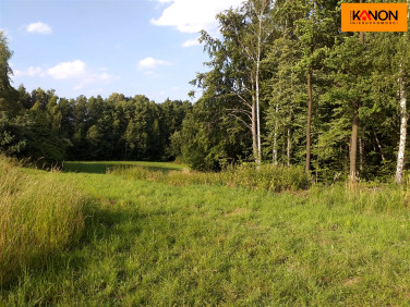 Działka Pisarzowice