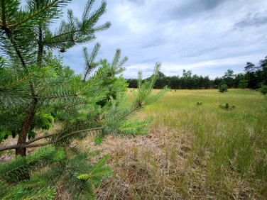 Działka rekreacyjna Silna