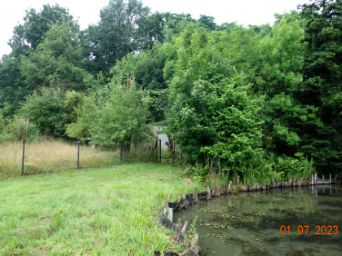 Działka rekreacyjna Wodzisław Śląski