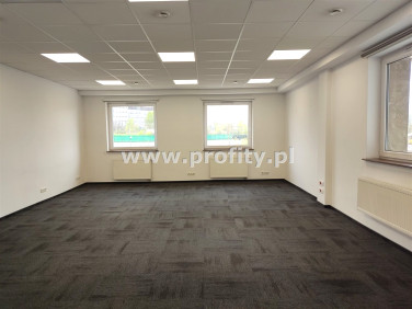 Lokal Katowice wynajem