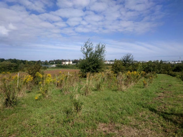 Działka rolna sprzedam