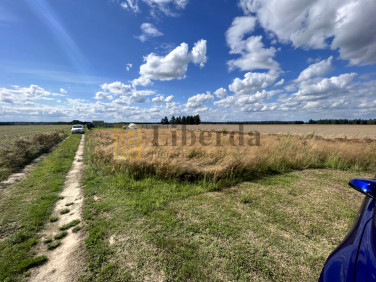 Działka rolna Krasne