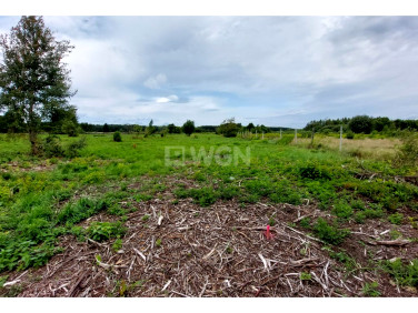 Działka budowlana Iłowa