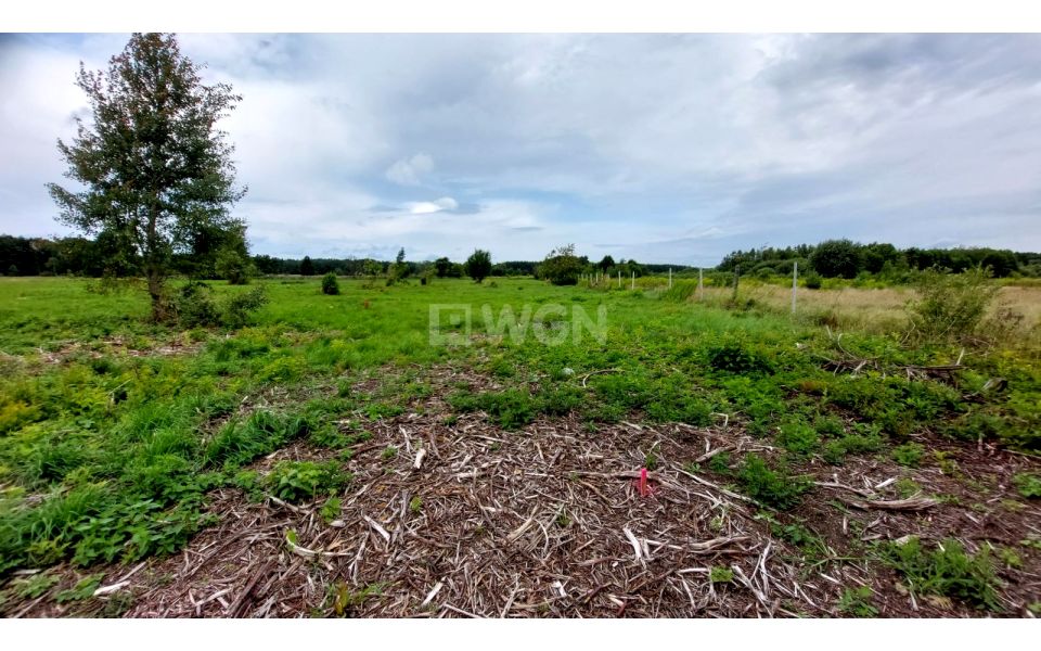 Działka budowlana Iłowa