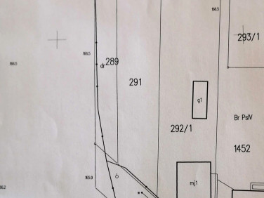 Działka budowlana Białowieża