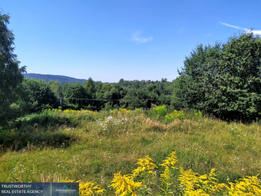 Działka Głogoczów