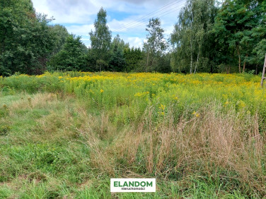 Działka budowlano-rolna Lipowo sprzedam