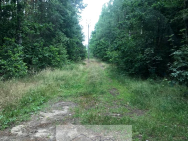 Działka inwestycyjna Nowa Bukówka sprzedam