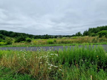 Działka budowlana Sadowie