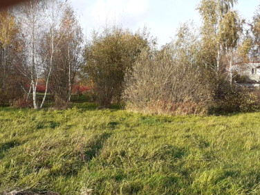 Działka budowlana Prażmów sprzedam