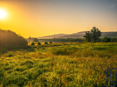 Działka budowlana Świeradów-Zdrój