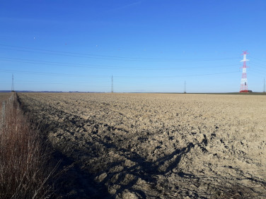 Działka rolna Szewce