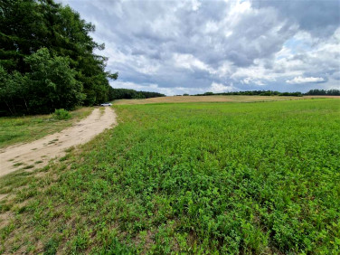 Działka Pierwoszyno