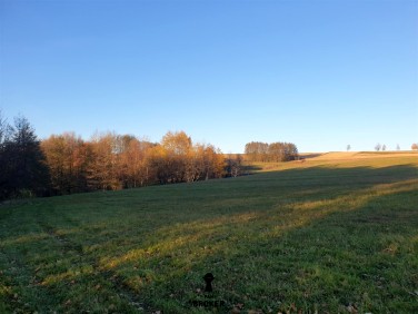 Działka inwestycyjna Wiśniowa