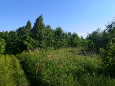 Działka budowlana Skotniki