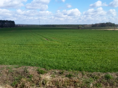 Działka budowlana Milicz