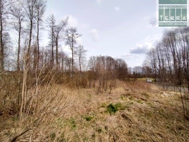 Działka budowlana Płoty