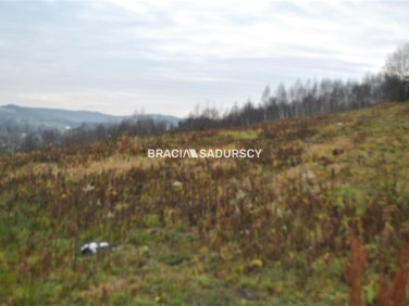 Działka Głogoczów