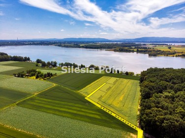 Działka siedliskowa Poręba