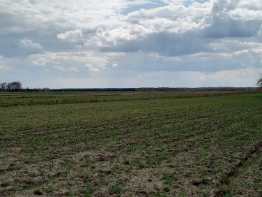 Działka budowlana Lesznowola sprzedam