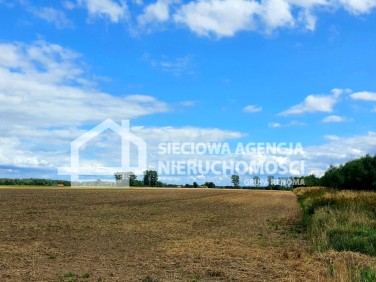 Działka budowlana Sowno sprzedam