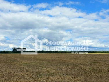 Działka budowlana Sowno