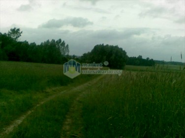 Działka siedliskowa Nowe Radzikowo