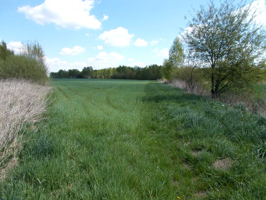 Działka rolna Glinianka