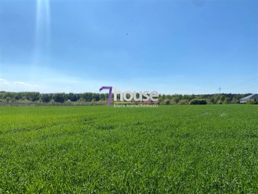 Działka inwestycyjna Tworóg sprzedam