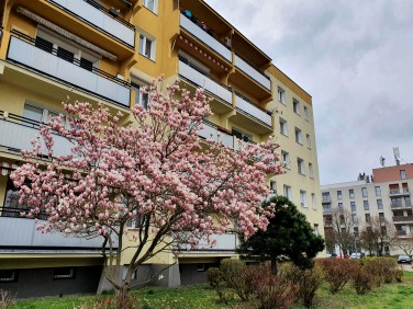 Mieszkanie Swarzędz