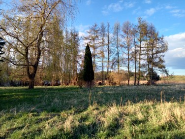 Działka budowlana Henryków-Urocze sprzedam