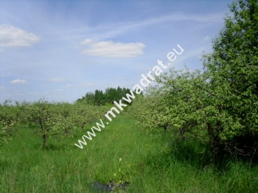 Działka budowlana sprzedam