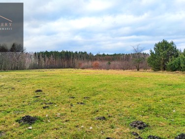 Działka budowlana Skotniki