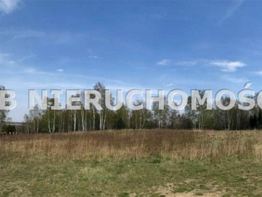 Działka budowlana Rybnik