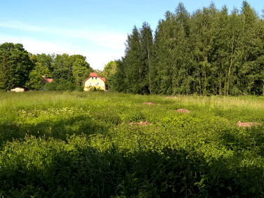 Działka budowlana Świeradów-Zdrój