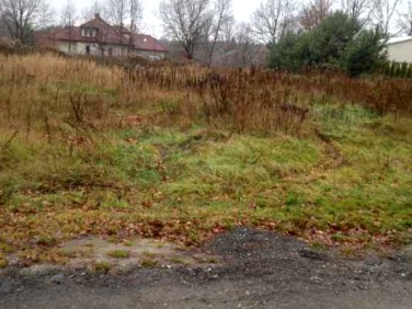 Działka przy lesie
