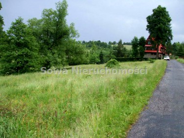 Działka przy lesie