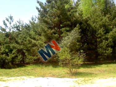 Zalesiona działka Bobrowiec