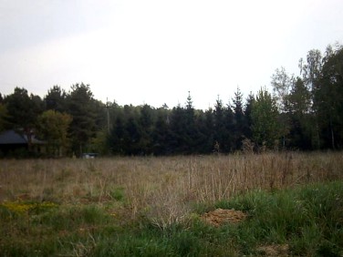 Działka budowlana Rybojedzko