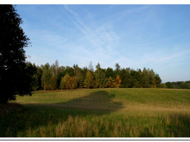 Działka siedliskowa Rydzewo