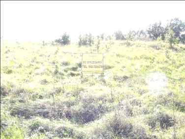 Działka Środa Śląska