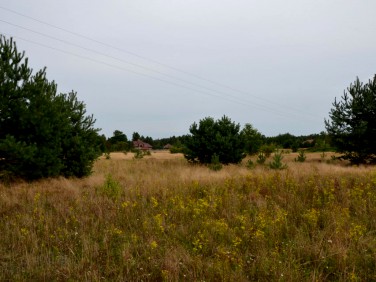 Działka budowlana Sowno