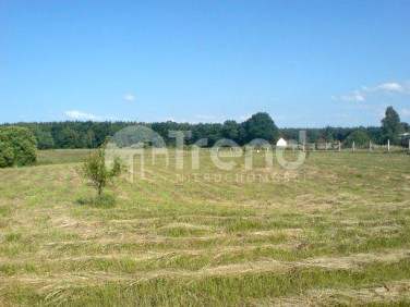 Działka budowlana Sowno