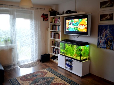 Mieszkanie Jabłonna