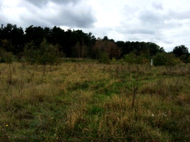 Działka budowlana Przylep