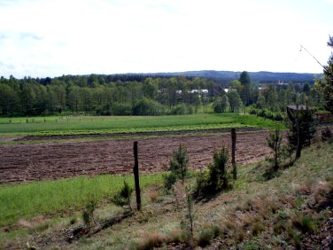 Działka budowlana Orle